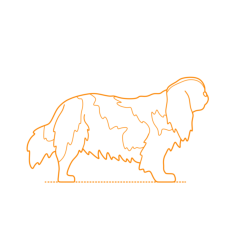 Animals Dogs English Toy Spaniel Stencil Svg Design File, Free Vectors File
